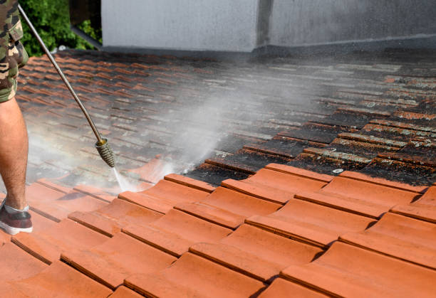 Best Exterior Home Cleaning  in Kyle, TX