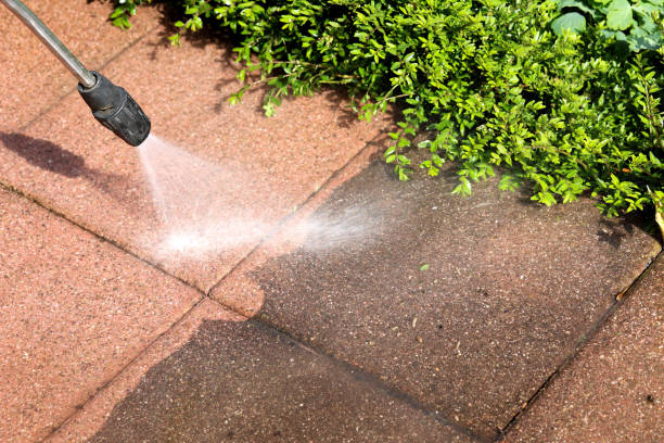Best Roof Pressure Washing  in Kyle, TX